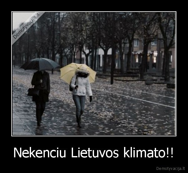 pamatysit, ryt, bus, 25,o, snd, 16