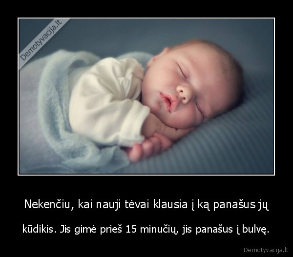 kudikis,nauji, tevai,bulve