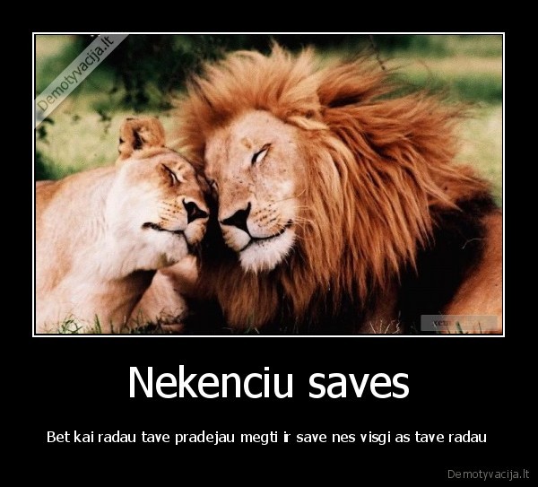 Nekenciu saves