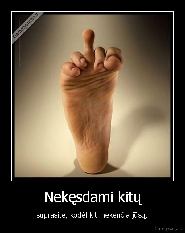 nekesti,fakas,gestas,zmones,nemegti,suprasti,jusu