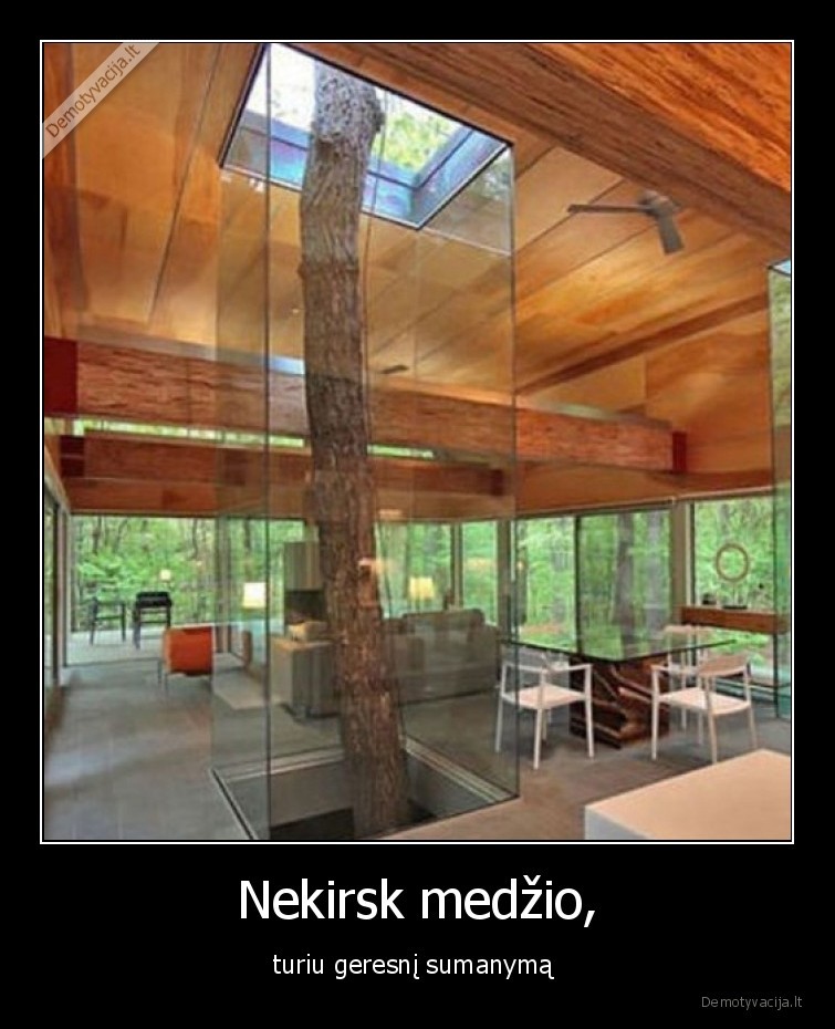 medis,sumanymas,namas