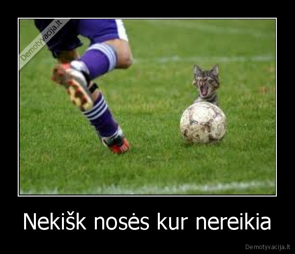 Nekišk nosės kur nereikia