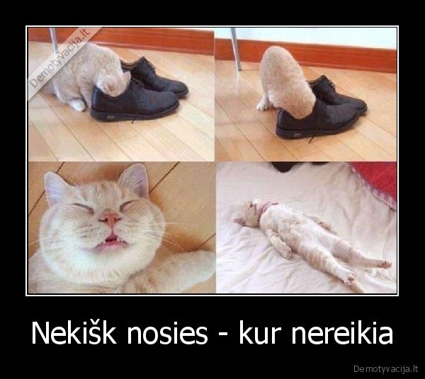 Nekišk nosies - kur nereikia