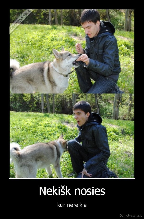 ne, taip, suo, dresiruojamas, d