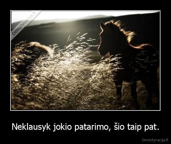 Neklausyk jokio patarimo, šio taip pat.