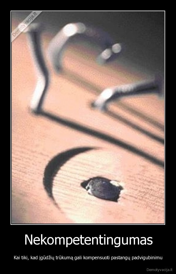 nekompetentingumas