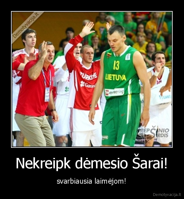 Nekreipk dėmesio Šarai!