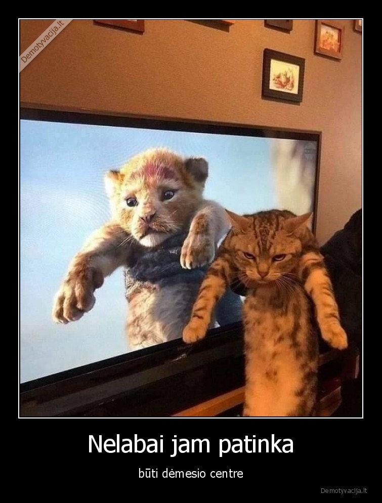 katinas,liutas,karalius