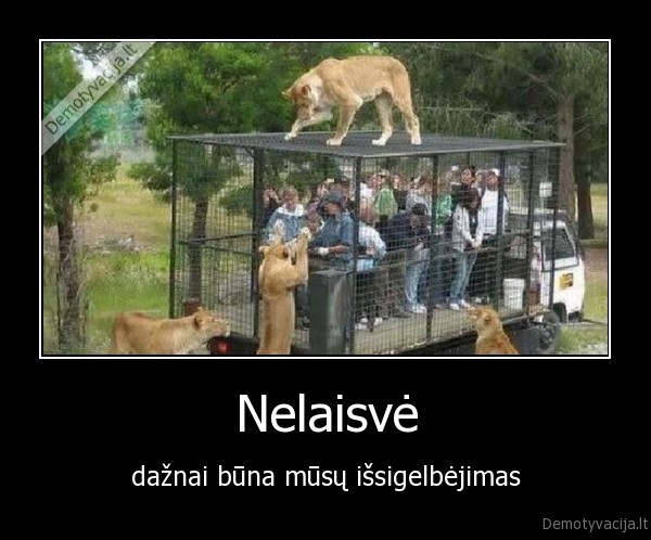 zmones, narve,liutai