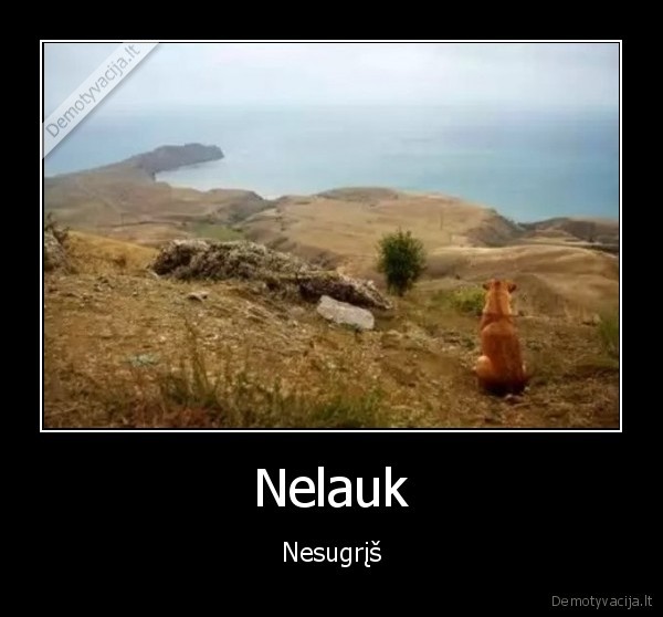 Nelauk