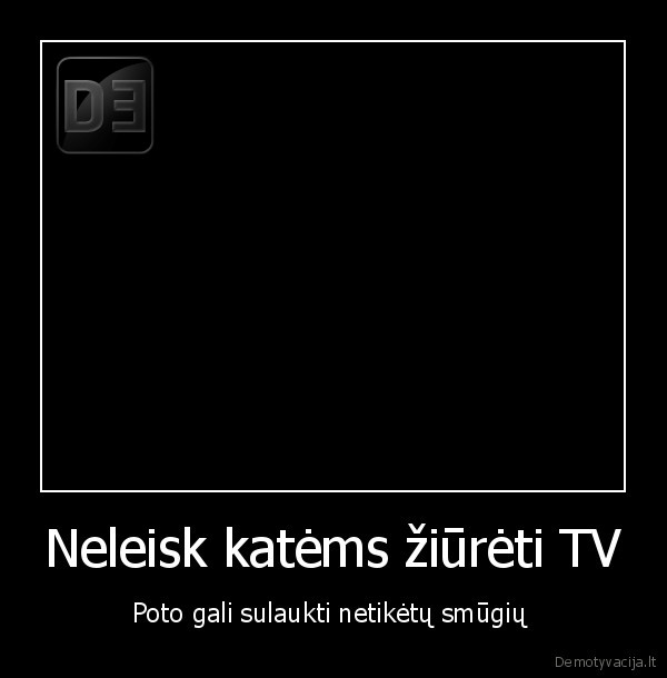 tv,televizorius,kate,kates,gyvunai,gyvunas