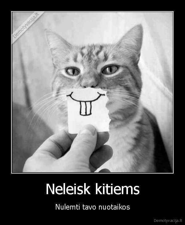 gyvenimas,katinas,nuotaika,sypsena,kiti,juokinga,juoda, balta