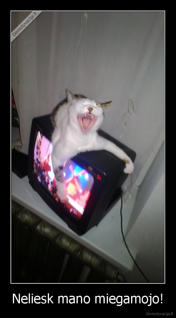 Neliesk mano miegamojo!