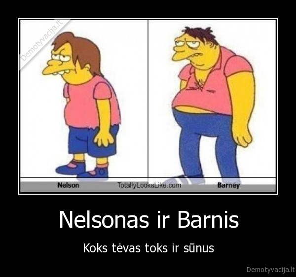 Nelsonas ir Barnis