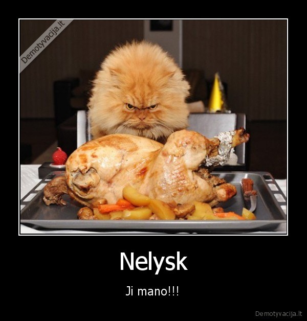 nelysk