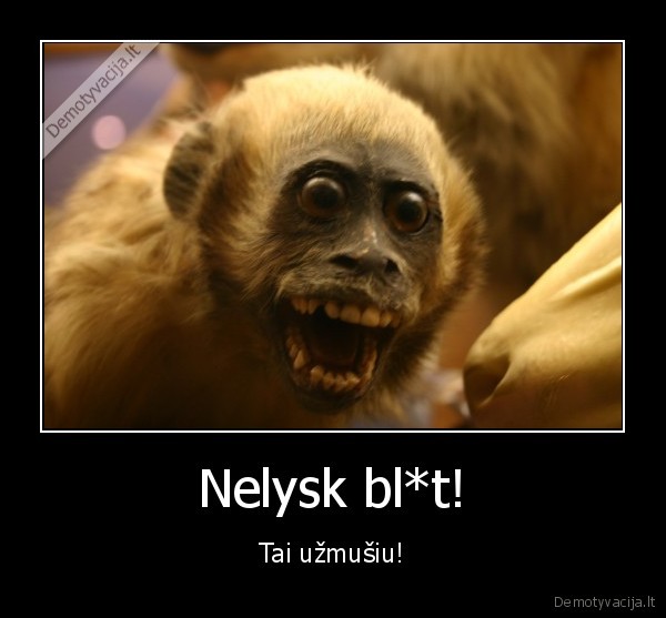 Nelysk bl*t!