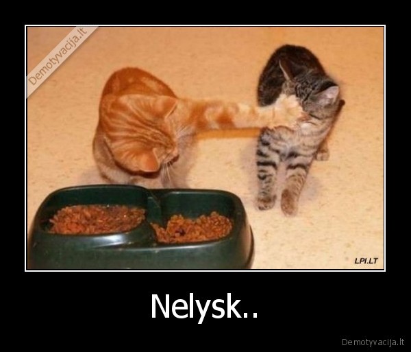 Nelysk..