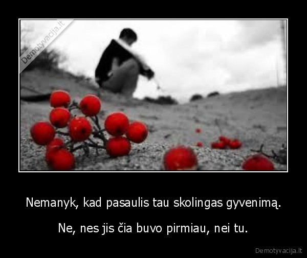 Nemanyk, kad pasaulis tau skolingas gyvenimą.