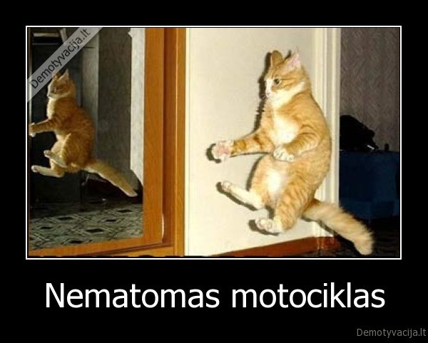 katinas, motociklas, nematomas