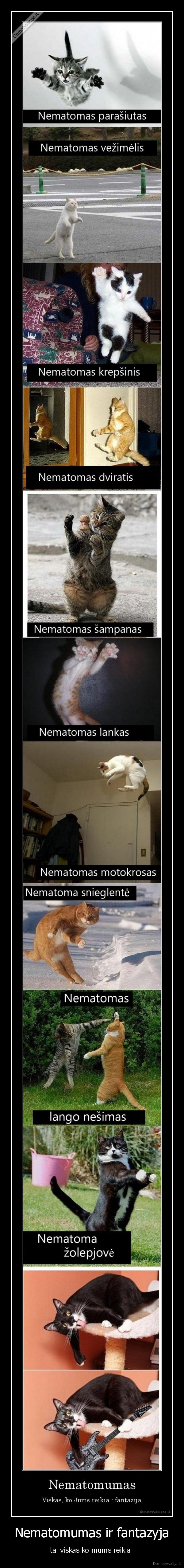 Nematomumas ir fantazyja