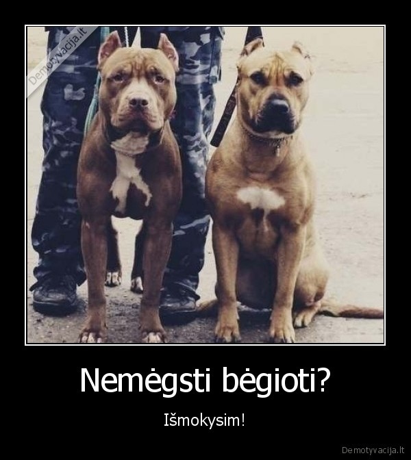 sunys,begioti,baisu,sportas