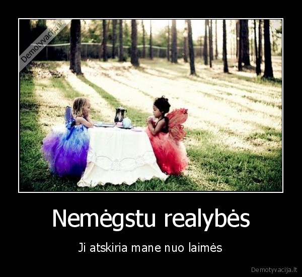 Nemėgstu realybės