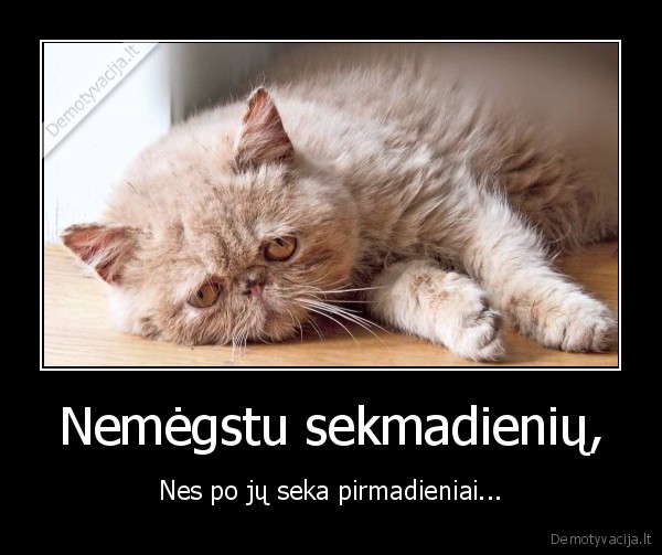 katins, liudns, pirmadiens, sudins