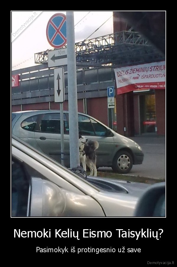 suo,ket,automobiliai,zenklai