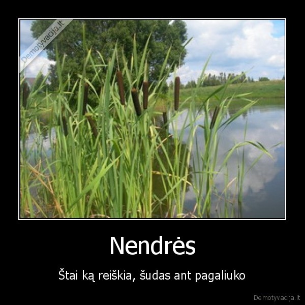 Nendrės