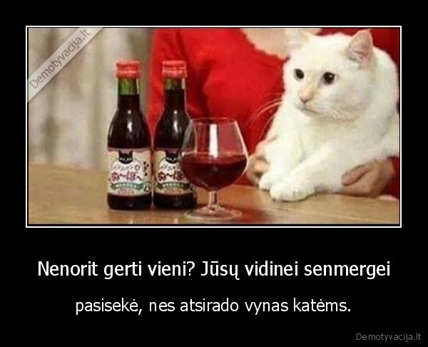 kate,katinas,senmerge,vynas