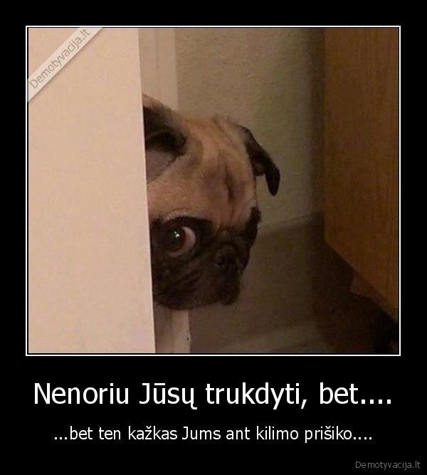 Nenoriu Jūsų trukdyti, bet....