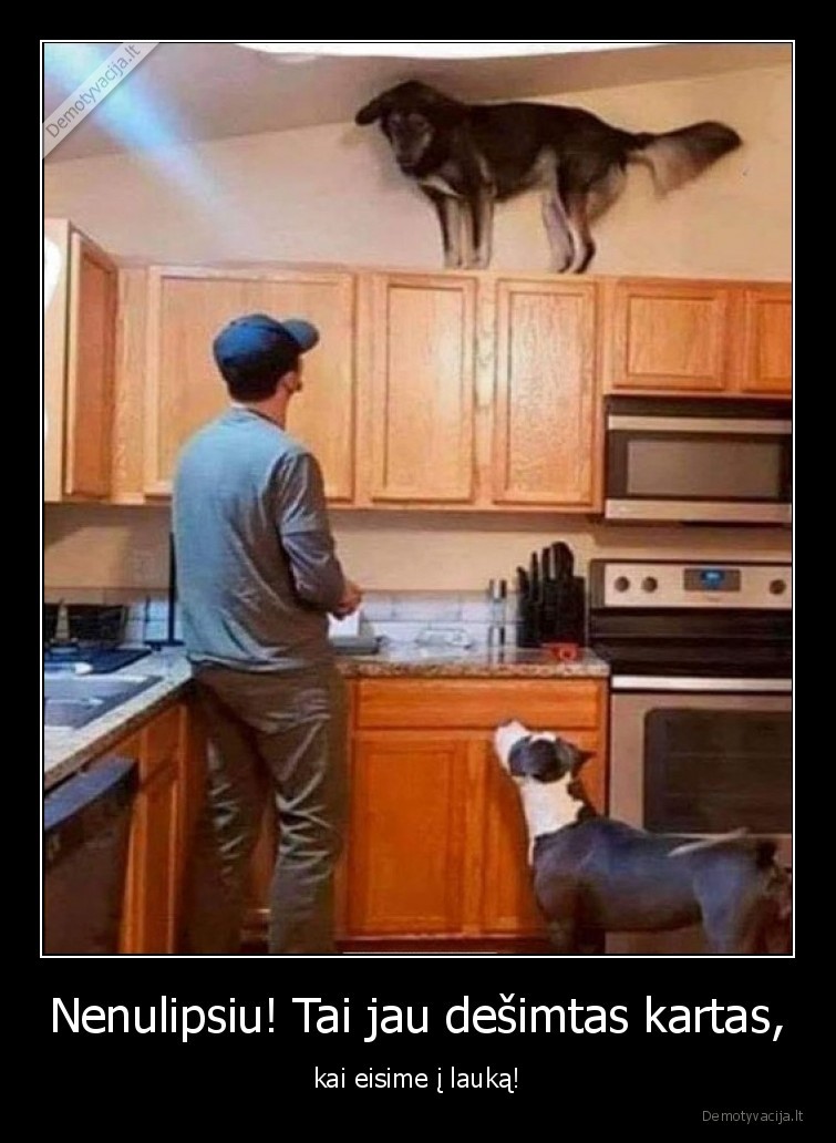 laukas,pasivaikscioti,pandemija,karantinas