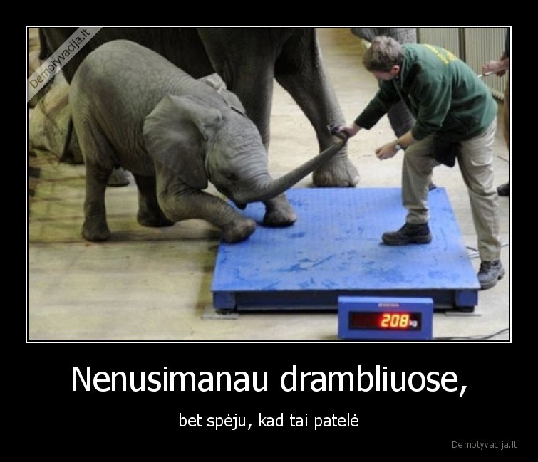 patele,dramblys,svertis,nenori