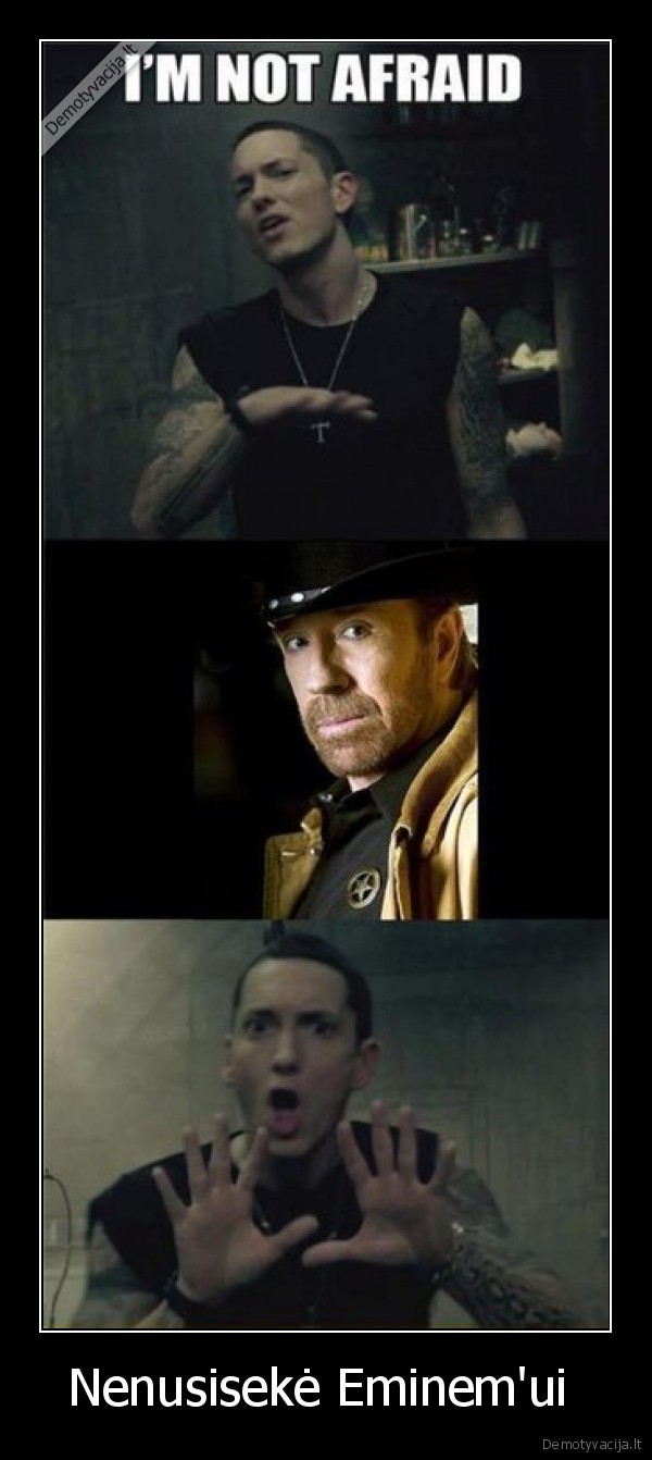 Nenusisekė Eminem'ui 