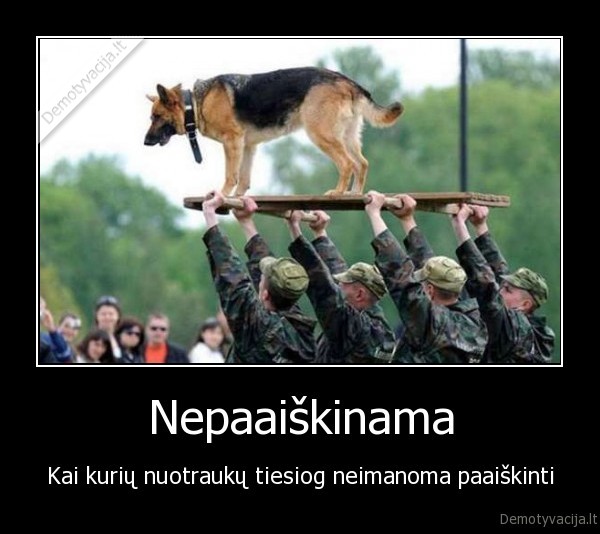 suo,keista,kariai,nepaaiskinama