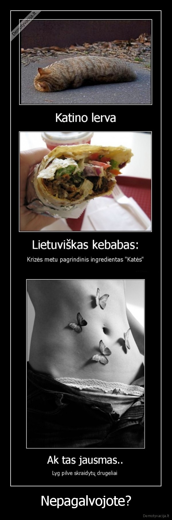 kebabai,kate,katinas,kates,meile,drugeliai,pilve