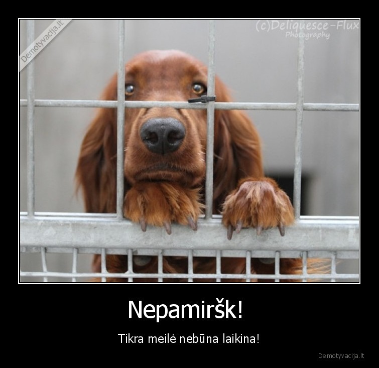 meile,draugyste,suo,narvas