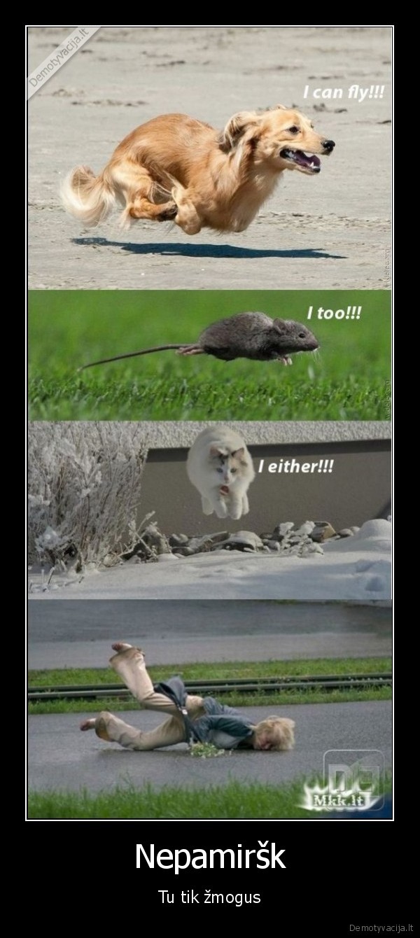 skraidantis,suo,kate,pele,durna,blondine