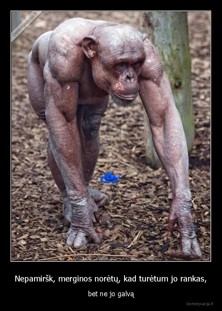 bezdzione,rankos,protas,sportas