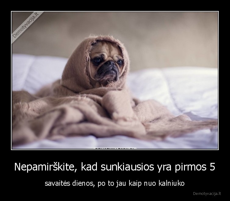 savaite,dienos,pirmadienis