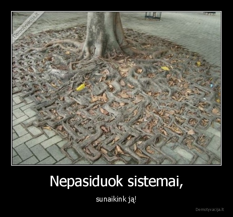 sistema,medis,sunaikink