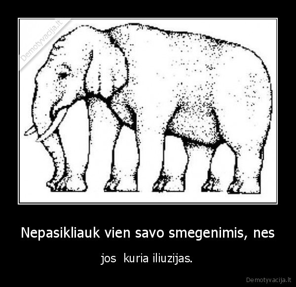 gyvenimas, tai, iliuzija,tik, labai, atkakli