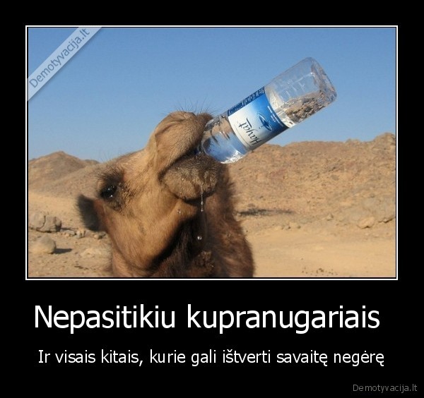 gerimas, alkoholis, kupranugaris