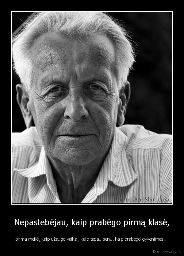 these, motherfucking, snakes, on, this, mother, fucking, website