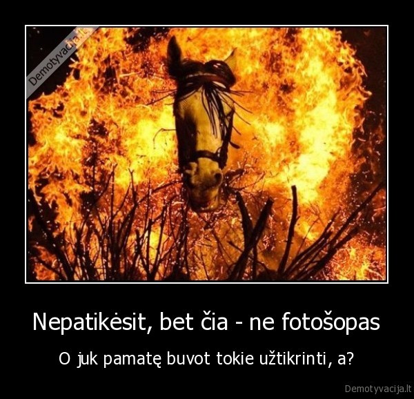 Nepatikėsit, bet čia - ne fotošopas