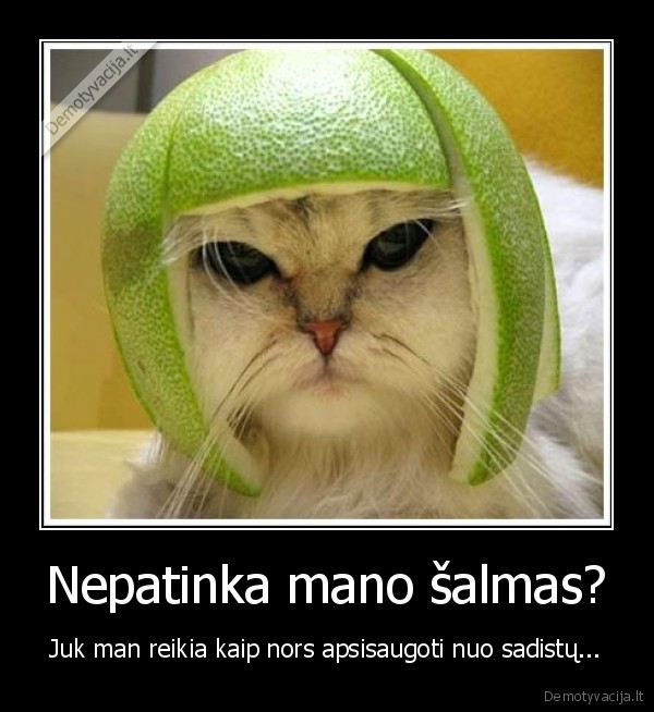 Nepatinka mano šalmas?