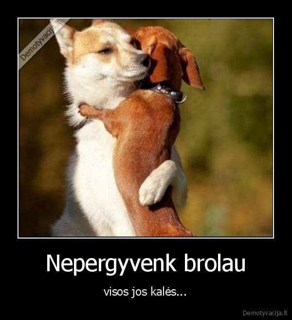 kales,sunys,apkabino