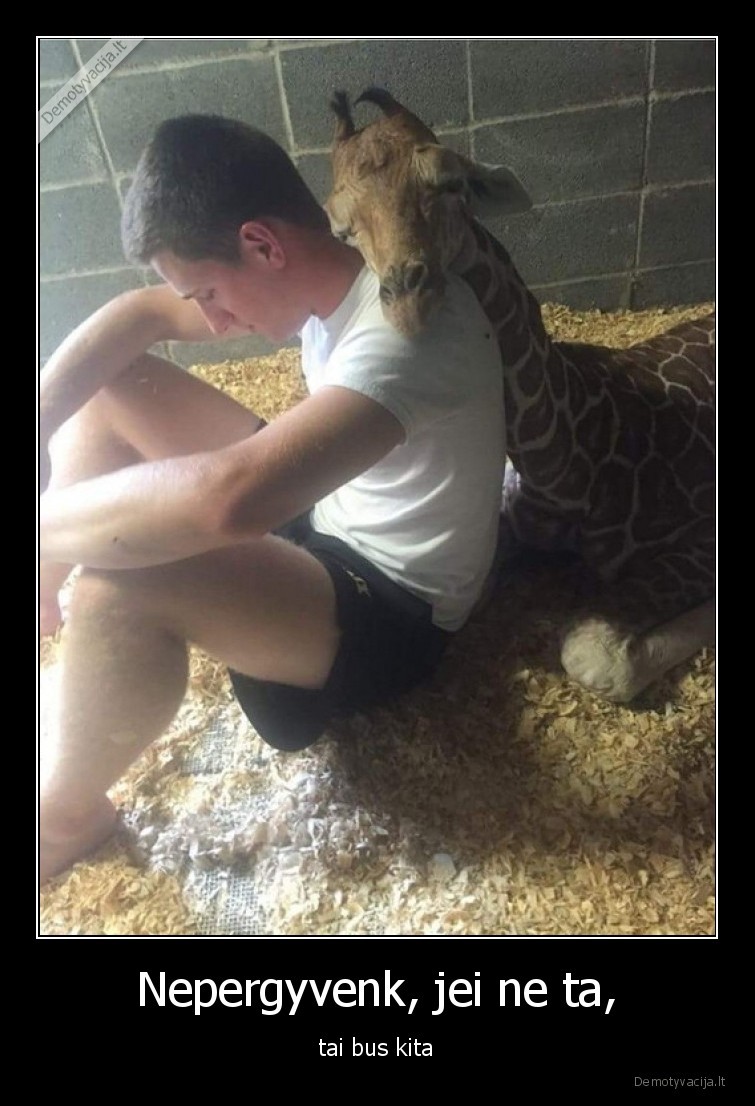 kita,nepergyvenk,zirafa,padrasinimas