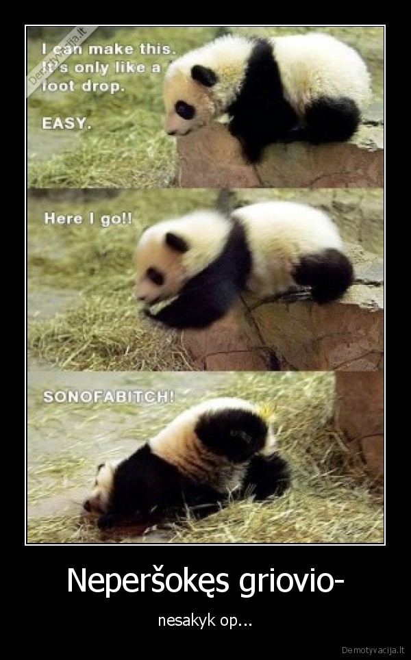 panda, tekst, padare, pamokymas, vat