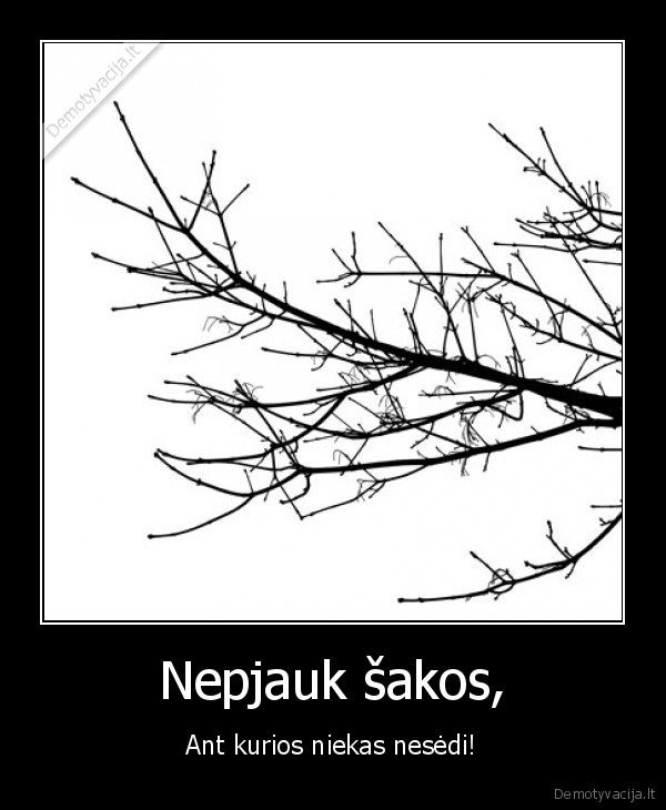 Nepjauk šakos,